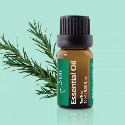 茶樹精油 Essential Oil - Tea Tree 10ml